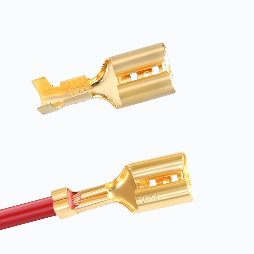 10/50/100 Set Terminali a Forc - Push Fit Connector recensione e prezzo